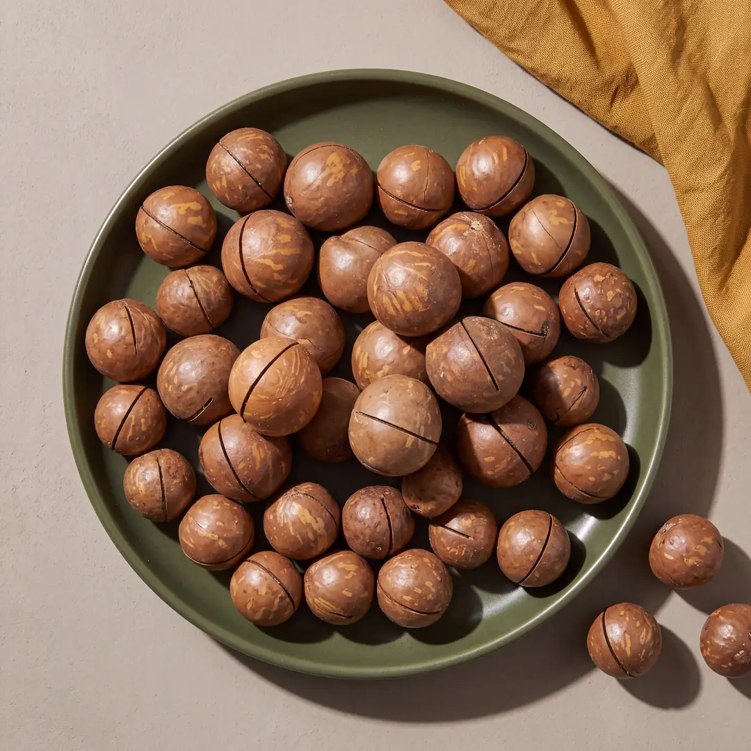 Makademya Fındığı Kabuklu 500 Gr